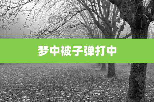 梦中被子弹打中