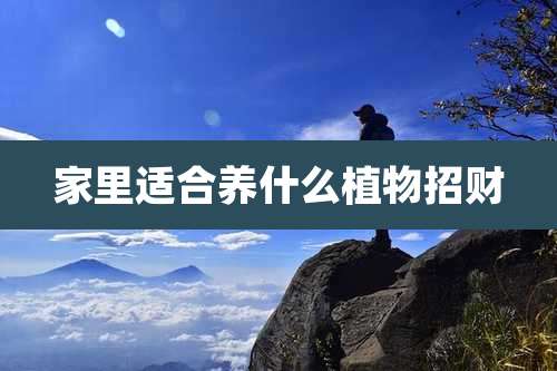 家里适合养什么植物招财