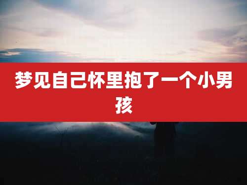 梦见自己怀里抱了一个小男孩
