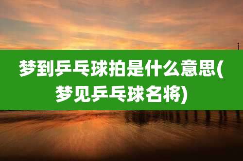 梦到乒乓球拍是什么意思(梦见乒乓球名将)