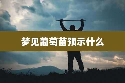 梦见葡萄苗预示什么