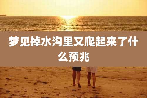 梦见掉水沟里又爬起来了什么预兆