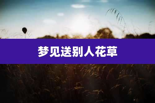 梦见送别人花草