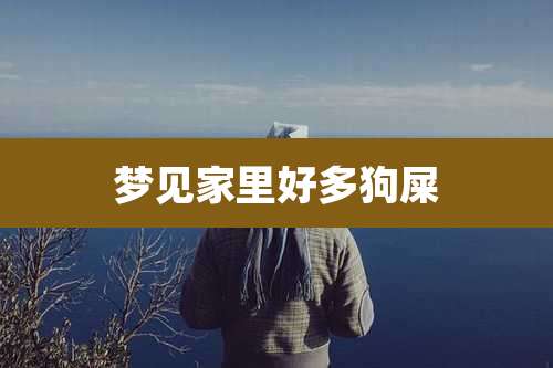 梦见家里好多狗屎