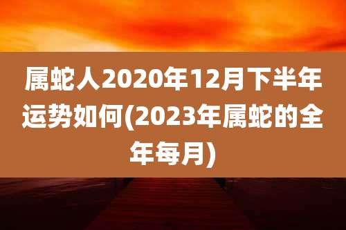 属蛇人2020年12月下半年运势如何(2023年属蛇的全年每月)