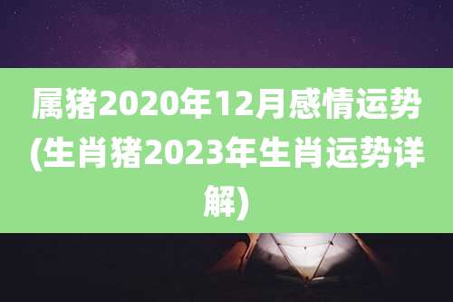 属猪2020年12月感情运势(生肖猪2023年生肖运势详解)