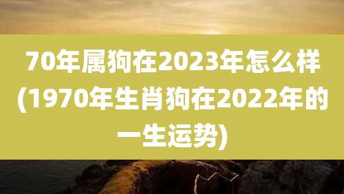 70年属狗在2023年怎么样(1970年生肖狗在2022年的一生运势)