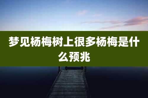 梦见杨梅树上很多杨梅是什么预兆