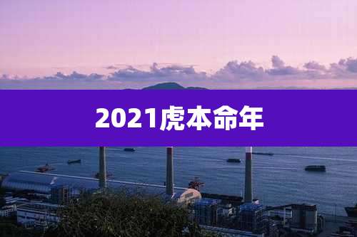 2021虎本命年
