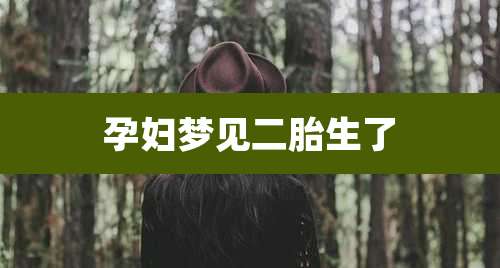 孕妇梦见二胎生了