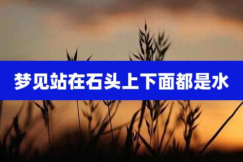 梦见站在石头上下面都是水