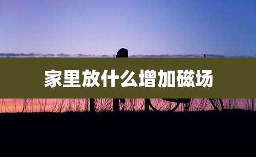 家里放什么增加磁场