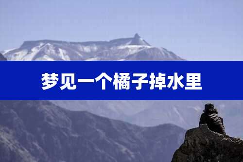 梦见一个橘子掉水里