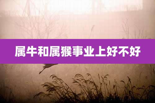 属牛和属猴事业上好不好