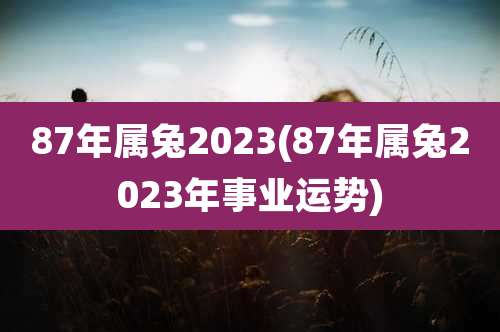 87年属兔2023(87年属兔2023年事业运势)