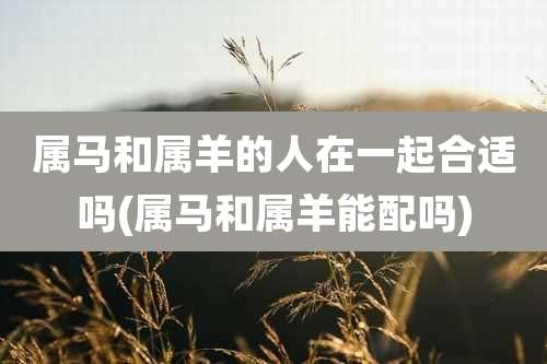 属马和属羊的人在一起合适吗(属马和属羊能配吗)
