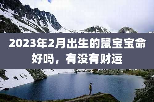 2023年2月出生的鼠宝宝命好吗,有没有财运