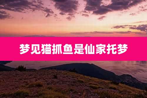 梦见猫抓鱼是仙家托梦