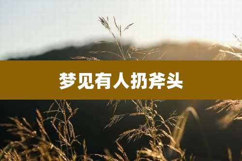 梦见有人扔斧头