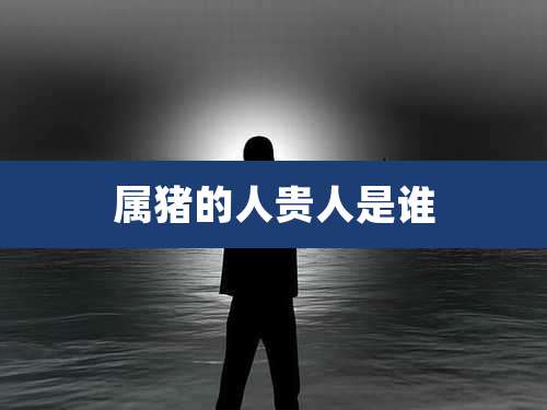 属猪的人贵人是谁