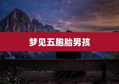 梦见五胞胎男孩