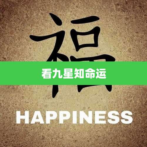 看九星知命运
