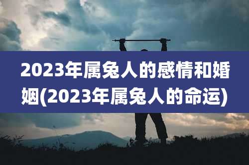 2023年属兔人的感情和婚姻(2023年属兔人的命运)
