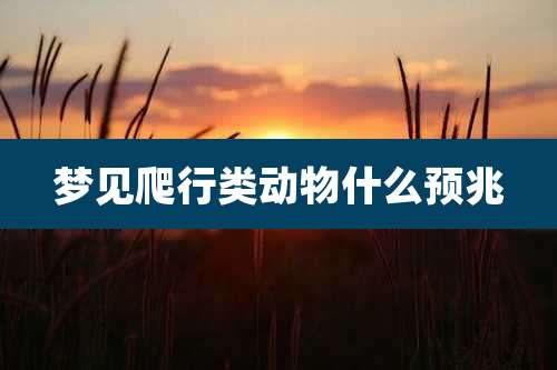 梦见爬行类动物什么预兆