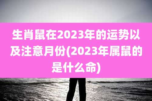 生肖鼠在2023年的运势以及注意月份(2023年属鼠的是什么命)