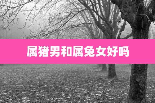 属猪男和属兔女好吗
