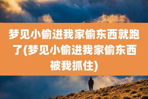 梦见小偷进我家偷东西就跑了(梦见小偷进我家偷东西被我抓住)