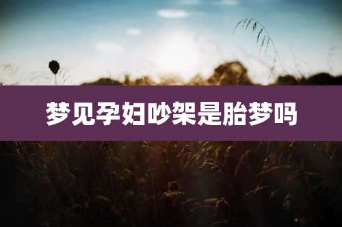 梦见孕妇吵架是胎梦吗