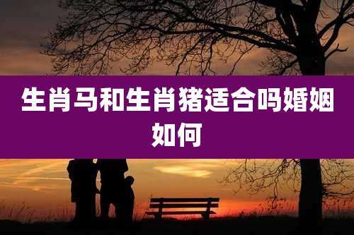 生肖马和生肖猪适合吗婚姻如何