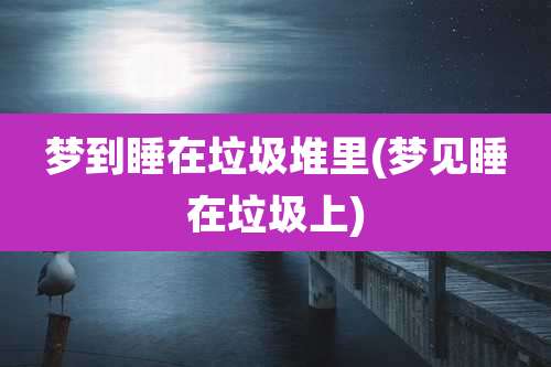 梦到睡在垃圾堆里(梦见睡在垃圾上)