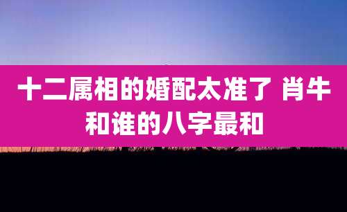 十二属相的婚配太准了 肖牛和谁的八字最和