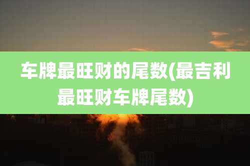 车牌最旺财的尾数(最吉利最旺财车牌尾数)