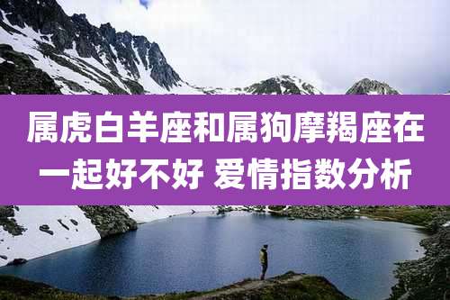 属虎白羊座和属狗摩羯座在一起好不好 爱情指数分析