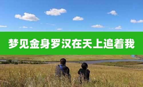 梦见金身罗汉在天上追着我