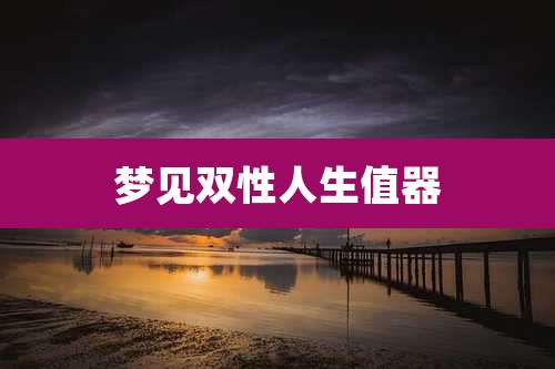 梦见双性人生值器