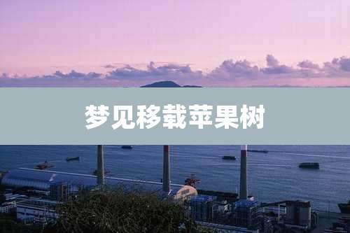 梦见移载苹果树