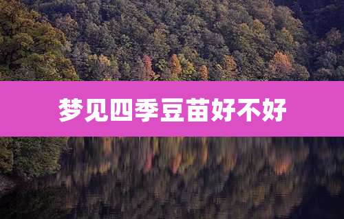 梦见四季豆苗好不好