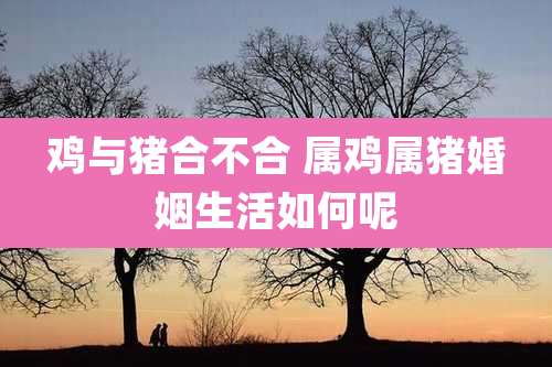 鸡与猪合不合 属鸡属猪婚姻生活如何呢