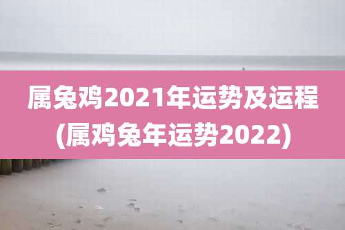 属兔鸡2021年运势及运程(属鸡兔年运势2022)