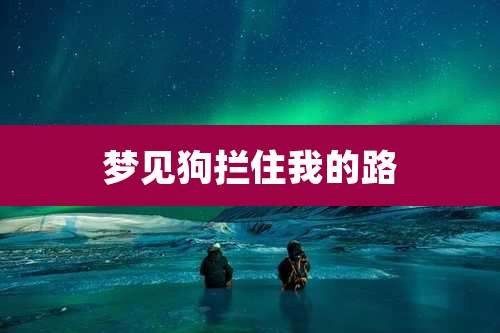 梦见狗拦住我的路