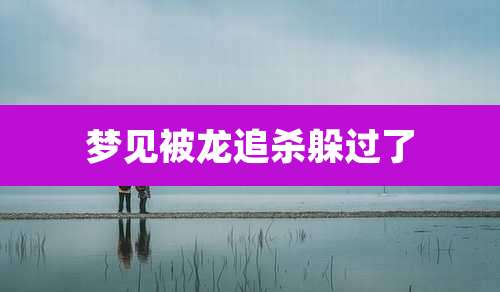 梦见被龙追杀躲过了