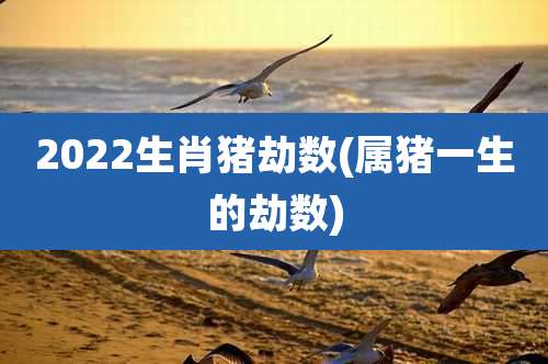 2022生肖猪劫数(属猪一生的劫数)