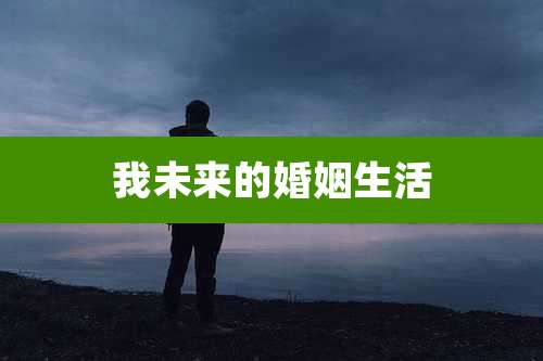 我未来的婚姻生活