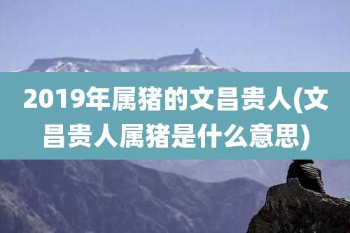 2019年属猪的文昌贵人(文昌贵人属猪是什么意思)