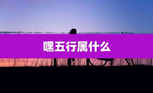 嘿五行属什么