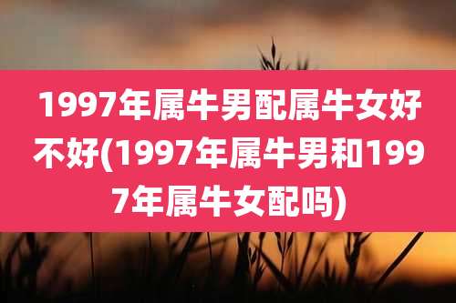 1997年属牛男配属牛女好不好(1997年属牛男和1997年属牛女配吗)